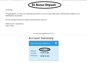 cara verifikasi payco free 5$