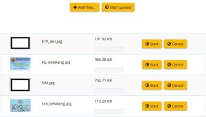 cara verifikasi payco free 5$